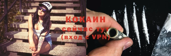 сатива Сосновка