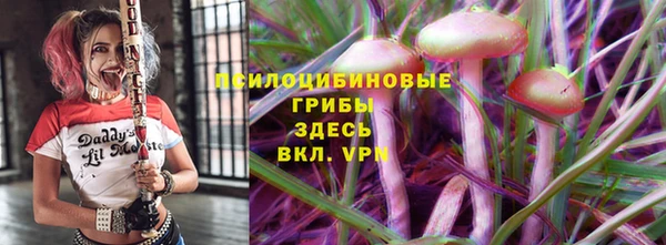 гидропоника Чегем