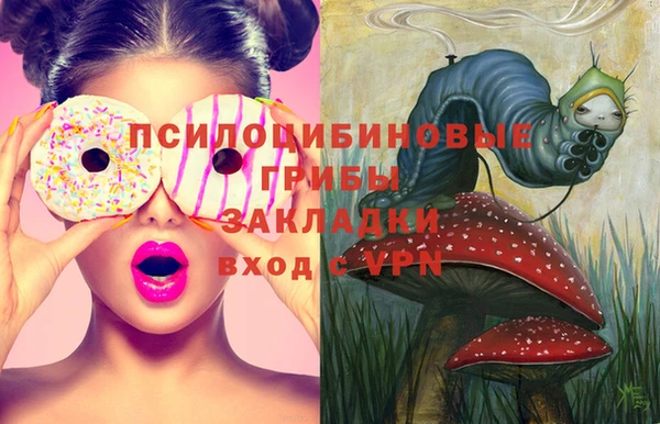 дурь Нея